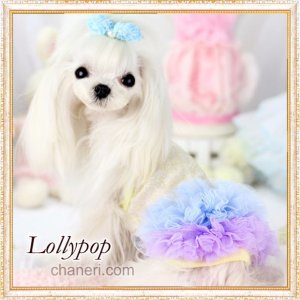 画像2: 【在庫限り】【夏バーゲン】【1080円】【犬 服】２段チュチュのキャミワンピ【Lollypop】【メール便OK】