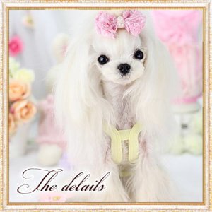 画像6: 【在庫限り】【夏バーゲン】【1080円】【犬 服】２段チュチュのキャミワンピ【Lollypop】【メール便OK】