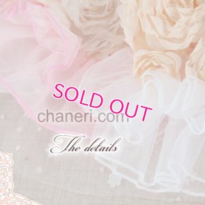 画像11: 【再入荷】【Sale】【1680円】【犬 服】Roseモチーフワンピース【petstyle】【メール便OK】