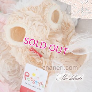 画像12: 【再入荷】【Sale】【1680円】【犬 服】Roseモチーフワンピース【petstyle】【メール便OK】