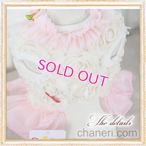 画像8: 【再入荷】【Sale】【1680円】【犬 服】Roseモチーフワンピース【petstyle】【メール便OK】