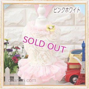 画像4: 【再入荷】【Sale】【1680円】【犬 服】Roseモチーフワンピース【petstyle】【メール便OK】