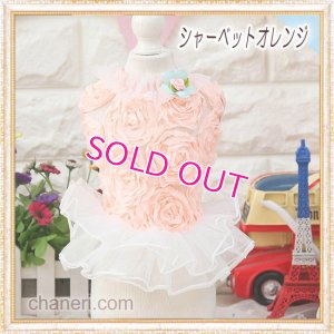 画像5: 【再入荷】【Sale】【1680円】【犬 服】Roseモチーフワンピース【petstyle】【メール便OK】