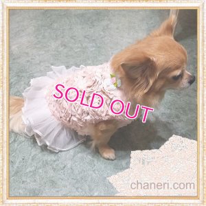 画像13: 【再入荷】【Sale】【1680円】【犬 服】Roseモチーフワンピース【petstyle】【メール便OK】