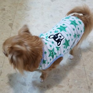 画像15: 【犬 服】【Sale】【1580円】スター＆Dogのタンクトップ【Doggy Star】【メール便OK】