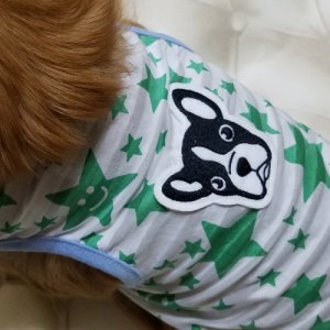 画像8: 【犬 服】【Sale】【1580円】スター＆Dogのタンクトップ【Doggy Star】【メール便OK】
