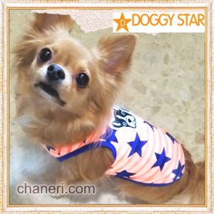 画像4: 【犬 服】【Sale】【1580円】スター＆Dogのタンクトップ【Doggy Star】【メール便OK】