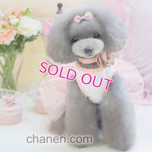 画像3: 【在庫限り】【sale】【春夏】【犬 服】カメリア王冠のワンピース【Petco】【メール便OK】