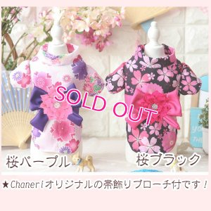 画像3: 【新作】【犬 服】【Sale】【1580円】【帯飾り付】オシャレ桜ゆかた【Petstyle】【メール便OK】