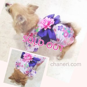 画像17: 【新作】【犬 服】【Sale】【1580円】【帯飾り付】オシャレ桜ゆかた【Petstyle】【メール便OK】
