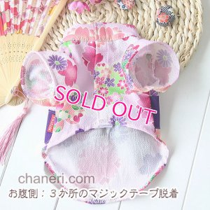 画像8: 【新作】【犬 服】【Sale】【1580円】【帯飾り付】オシャレ桜ゆかた【Petstyle】【メール便OK】