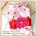 画像12: 【犬 服】【Sale】【帯飾り付】可愛い梅の花ゆかた【Petstyle】浴衣　和装　着物【メール便OK】