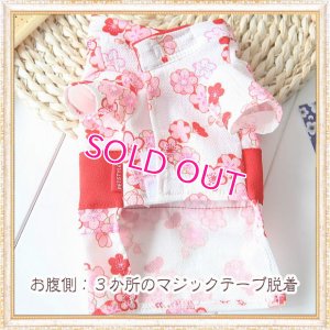画像11: 在庫限り【XS】【犬 服】【Sale】【帯飾り付】可愛い梅の花ゆかた【Petstyle】浴衣　和装　着物【メール便OK】