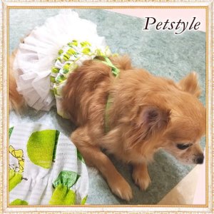 画像8: 【サマーセール】【最終sale】【580円】【犬 服】ライムチュチュワンピース【Petstyle】【メール便OK】 