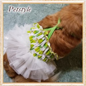 画像9: 【サマーセール】【最終sale】【580円】【犬 服】ライムチュチュワンピース【Petstyle】【メール便OK】 