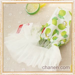 画像11: 【サマーセール】【最終sale】【580円】【犬 服】ライムチュチュワンピース【Petstyle】【メール便OK】 