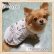 画像3: 在庫限り【メール便無料】【犬 服】【sale】【990円】ふわふわツイードおリボンコート【Petstyle】
