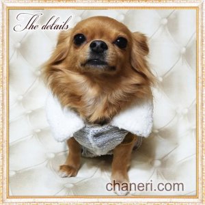 画像8: 在庫限り【メール便無料】【犬 服】【sale】【990円】ふわふわツイードおリボンコート【Petstyle】