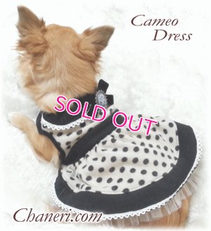 画像11: 【再入荷】秋冬春/愛犬服/水玉のカメオドレス【メール便OK】