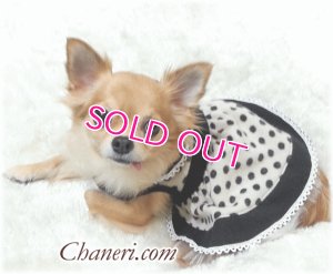 画像12: 【再入荷】秋冬春/愛犬服/水玉のカメオドレス【メール便OK】