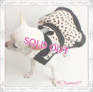 画像8: 【再入荷】秋冬春/愛犬服/水玉のカメオドレス【メール便OK】