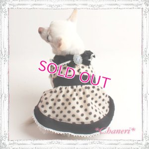 画像9: 【再入荷】秋冬春/愛犬服/水玉のカメオドレス【メール便OK】