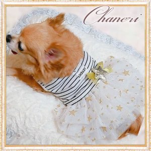 画像19: 【新作】【1980円】【犬 服】スターチュチュワンピース【AMBABY】【メール便OK】