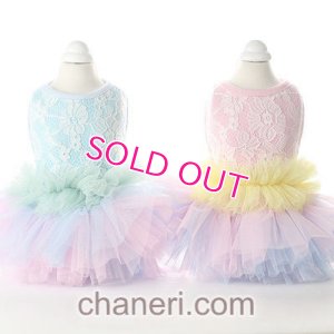 画像15: 【新作】【Sale】【1980円】【犬 服】豪華なレーシーチュチュドレス【メール便OK】