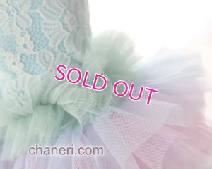 画像13: 【新作】【Sale】【1980円】【犬 服】豪華なレーシーチュチュドレス【メール便OK】