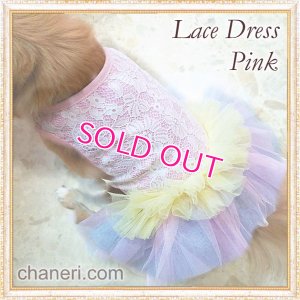 画像10: 【新作】【Sale】【1980円】【犬 服】豪華なレーシーチュチュドレス【メール便OK】