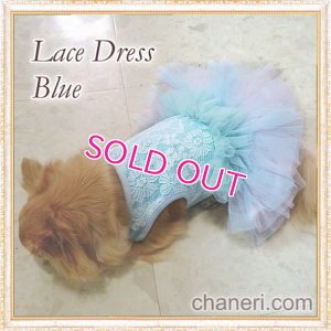 画像9: 【新作】【Sale】【1980円】【犬 服】豪華なレーシーチュチュドレス【メール便OK】