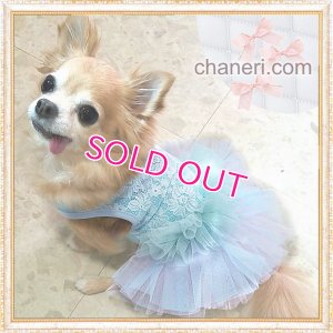 画像4: 【新作】【Sale】【1980円】【犬 服】豪華なレーシーチュチュドレス【メール便OK】
