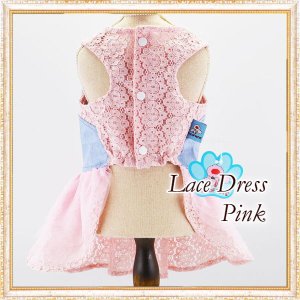 画像12: 【犬 服】【sale】【半額】コサージュ付ベアちゃんのレースワンピース【メール便OK】