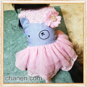 画像5: 【犬 服】【sale】【半額】コサージュ付ベアちゃんのレースワンピース【メール便OK】