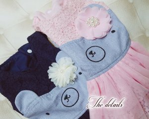 画像10: 【犬 服】【sale】【半額】コサージュ付ベアちゃんのレースワンピース【メール便OK】