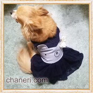 画像4: 【犬 服】【sale】【半額】コサージュ付ベアちゃんのレースワンピース【メール便OK】