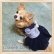 画像3: 【犬 服】【sale】【春夏】コサージュ付ベアちゃんのレースワンピース【メール便OK】