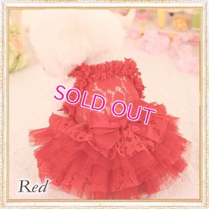 画像13: 【再入荷】【2480円】ラグジュアリーなレースのチュチュDress【メール便OK】