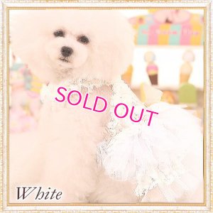 画像15: 【再入荷】【2480円】ラグジュアリーなレースのチュチュDress【メール便OK】