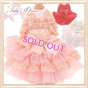 画像1: 【再入荷】【2480円】ラグジュアリーなレースのチュチュDress【メール便OK】