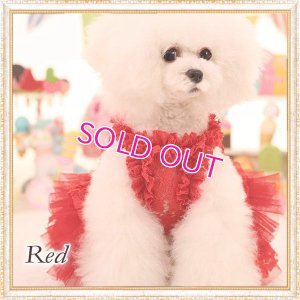 画像14: 【再入荷】【2480円】ラグジュアリーなレースのチュチュDress【メール便OK】