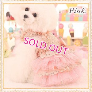 画像12: 【再入荷】【2480円】ラグジュアリーなレースのチュチュDress【メール便OK】
