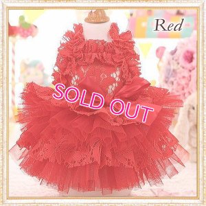 画像2: 【再入荷】【2480円】ラグジュアリーなレースのチュチュDress【メール便OK】