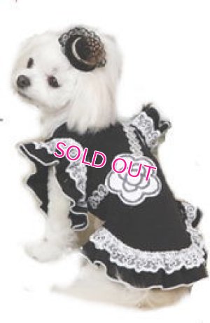 画像12: 【犬 服】【新作】【2480円】【メール便OK】NEWココカメリアフリルワンピ【Doggy Star】【メール便OK】