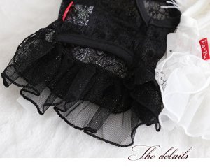 画像11: 犬 服 犬の服 ドッグウェア【再々値下げ】【Sale】春 夏 レース チュチュ ワンピース【メール便可】