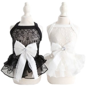 画像2: 犬 服 犬の服 ドッグウェア【再々値下げ】【Sale】春 夏 レース チュチュ ワンピース【メール便可】