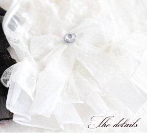 画像8: 犬 服 犬の服 ドッグウェア【再々値下げ】【Sale】春 夏 レース チュチュ ワンピース【メール便可】