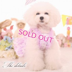 画像11: 犬 服 犬の服 ドッグウェア ワンピース ワンピ 春 夏 新作 MKO フラワー レース チュチュ Dress【メール便可】