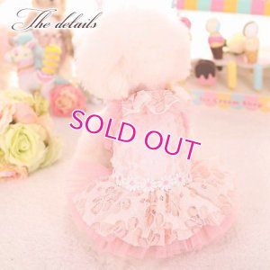 画像6: 犬 服 犬の服 ドッグウェア ワンピース ワンピ 春 夏 新作 MKO フラワー レース チュチュ Dress【メール便可】