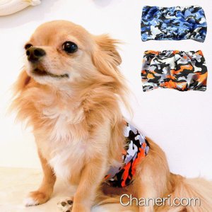 画像3: 【初入荷】【980円】迷彩柄マナーベルト【メール便OK】犬用 愛犬 ベルト カフェ